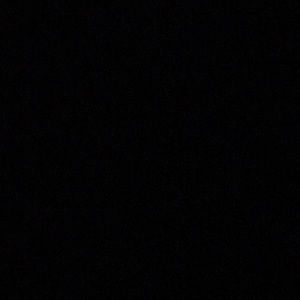 Meet your Posher, Tamara